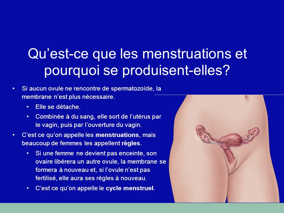 video rencontre ovule spermatozoide