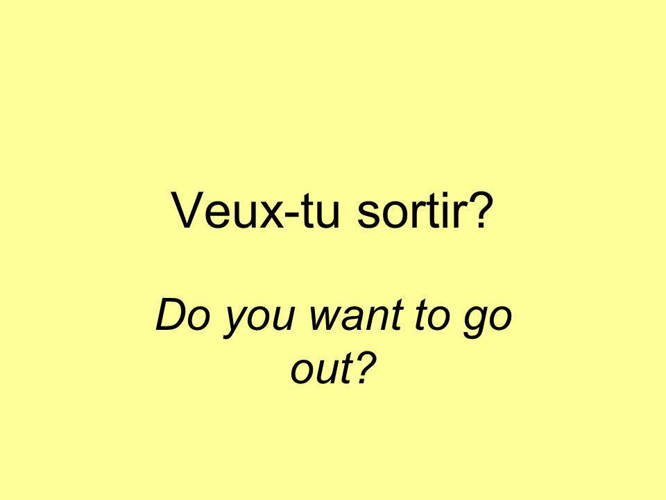 Veux-tu sortir Do you want to go out