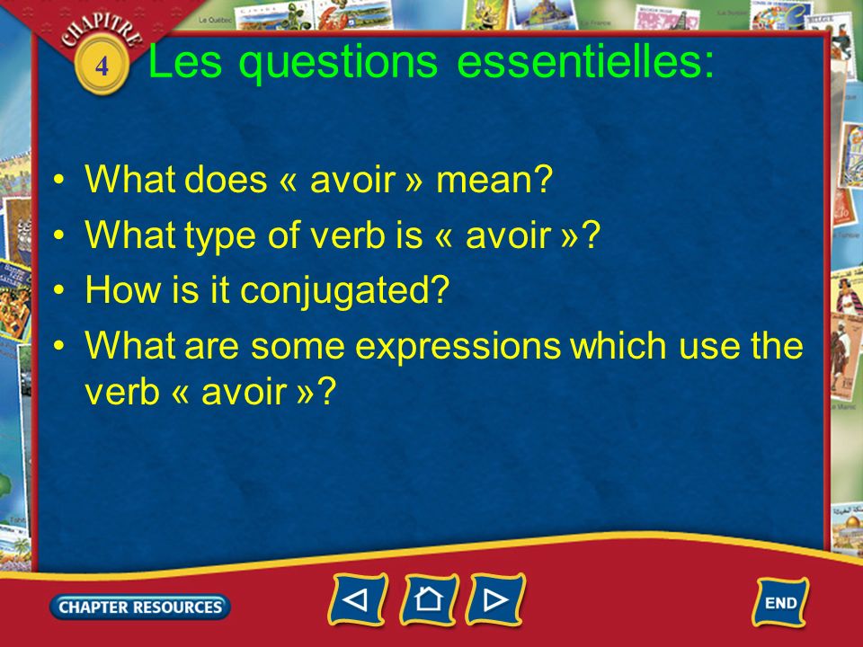 4 Les questions essentielles: What does « avoir » mean.