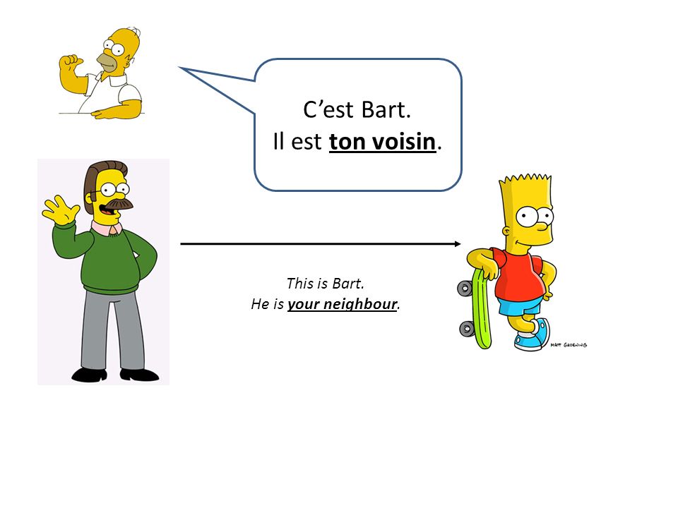 This is Bart. He is your neighbour. Cest Bart. Il est ton voisin.