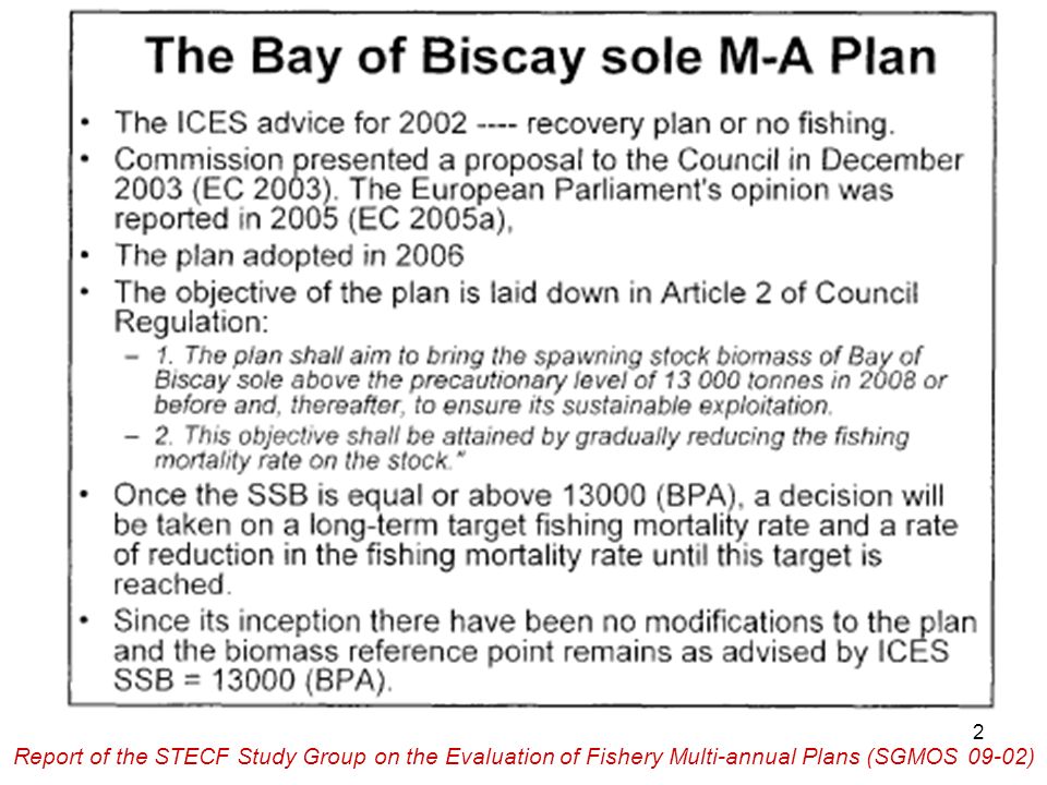2 Report of the STECF Study Group on the Evaluation of Fishery Multi-annual Plans (SGMOS 09-02)