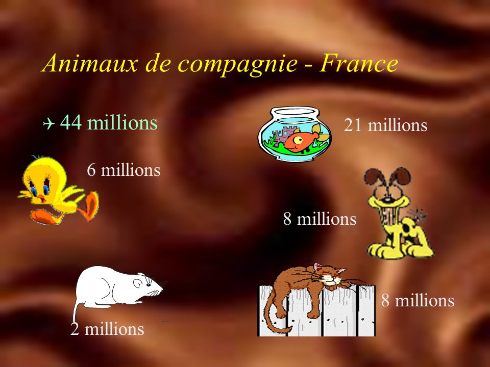 Agriculteurs femmes enceintes enfants immunodéprimés personnes Agriculteurs femmes enceintes enfants immunodéprimés personnes