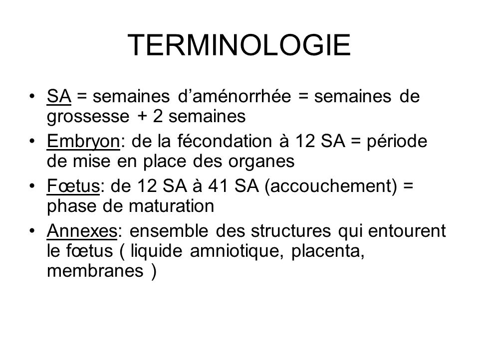 calculer sa grossesse en semaine