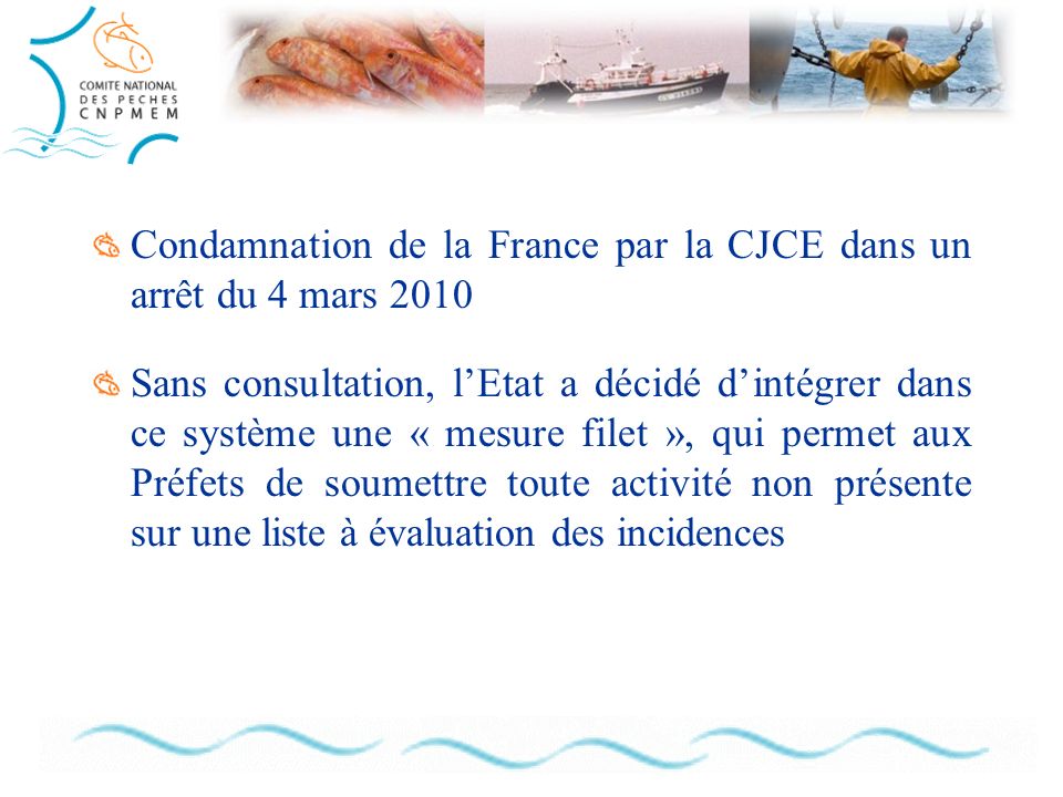 Condamnation de la France par la CJCE dans un arrêt du 4 mars 2010 Sans consultation, lEtat a décidé dintégrer dans ce système une « mesure filet », qui permet aux Préfets de soumettre toute activité non présente sur une liste à évaluation des incidences