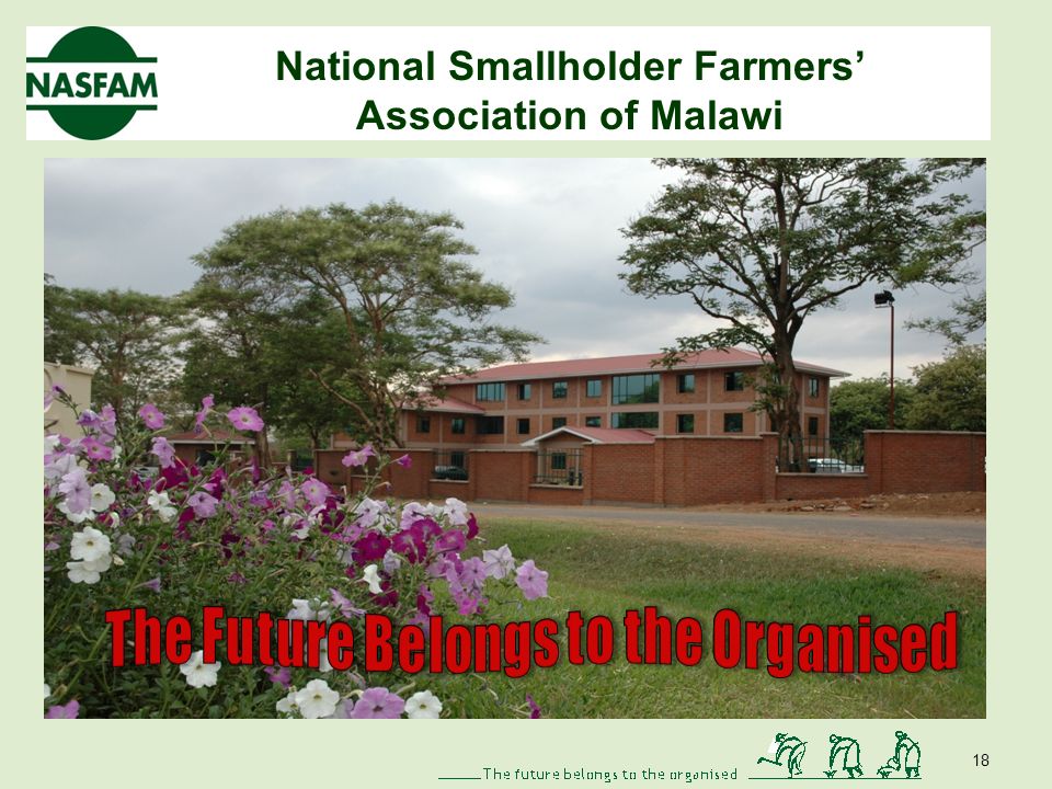 National Smallholder Farmers Association of Malawi Recommandations Application totale du CAADP Politiques cohérentes Développement des petits agriculteurs - organisations dagriculteurs 17