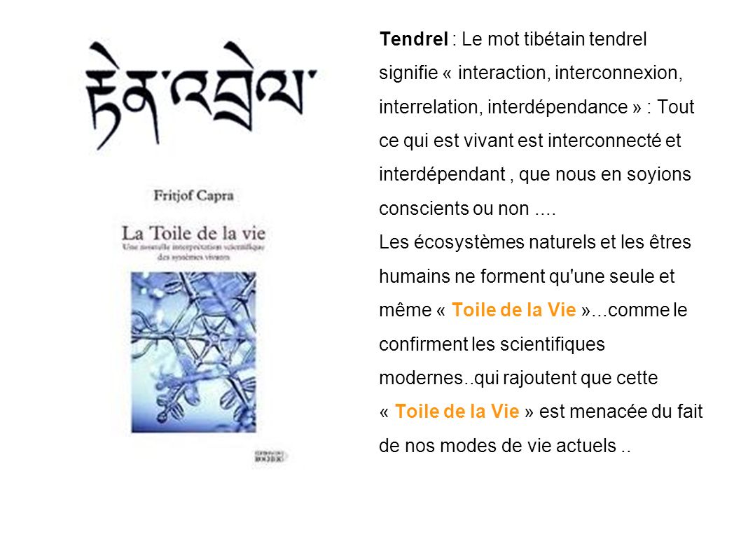 Tendrel : Le mot tibétain tendrel signifie « interaction, interconnexion, interrelation, interdépendance » : Tout ce qui est vivant est interconnecté et interdépendant, que nous en soyions conscients ou non....