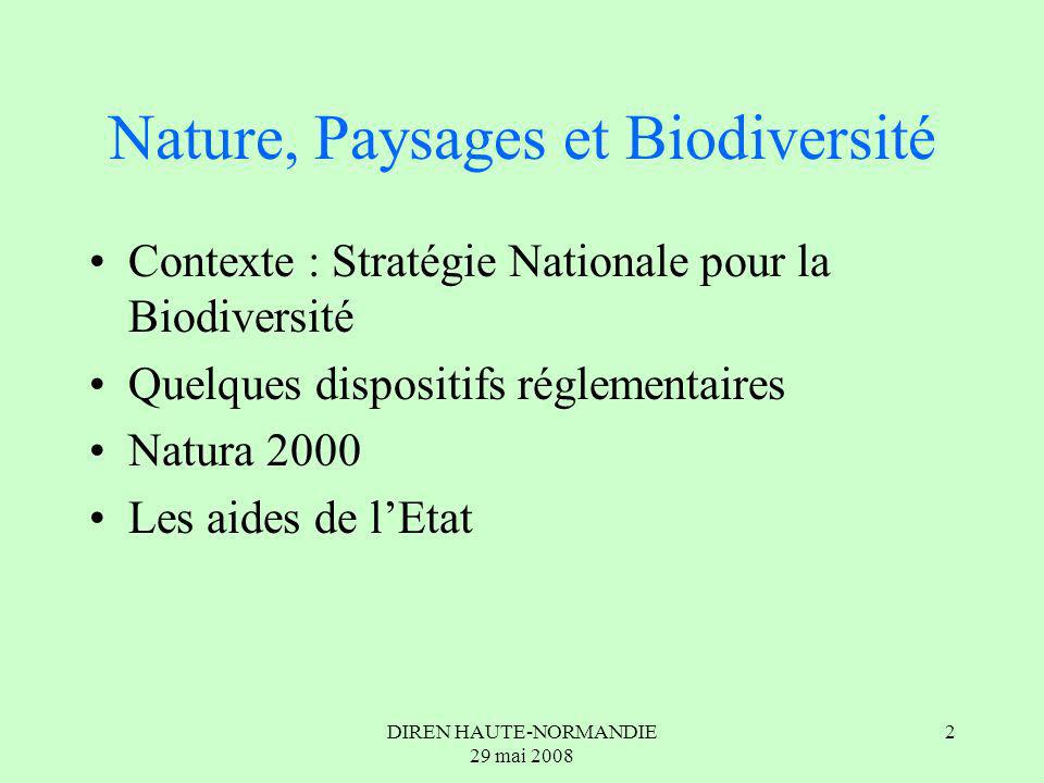 DIREN HAUTE-NORMANDIE 29 mai Nature, Paysages et Biodiversité Contexte : Stratégie Nationale pour la Biodiversité Quelques dispositifs réglementaires Natura 2000 Les aides de lEtat