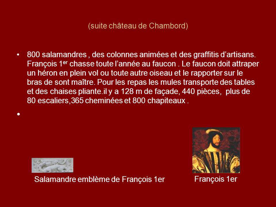 (suite château de Chambord) 800 salamandres, des colonnes animées et des graffitis dartisans.