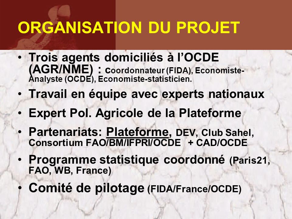 ORGANISATION DU PROJET Trois agents domiciliés à lOCDE (AGR/NME) : c oordonnateur (FIDA), Economiste- Analyste (OCDE), Economiste-statisticien.