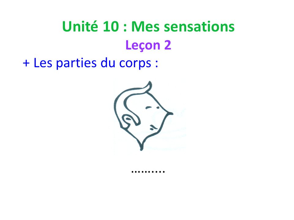 Unité 10 : Mes sensations Leçon 2 + Les parties du corps : ……....