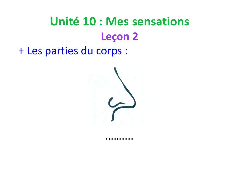 Unité 10 : Mes sensations Leçon 2 + Les parties du corps : ……....