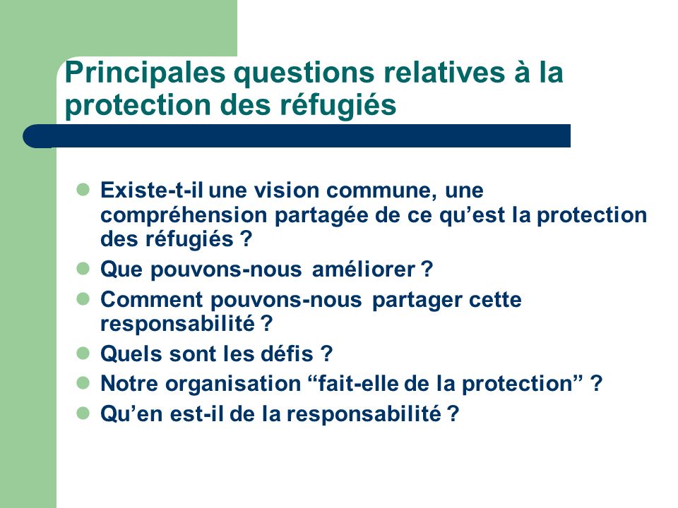 Principales questions relatives à la protection des réfugiés Existe-t-il une vision commune, une compréhension partagée de ce quest la protection des réfugiés .