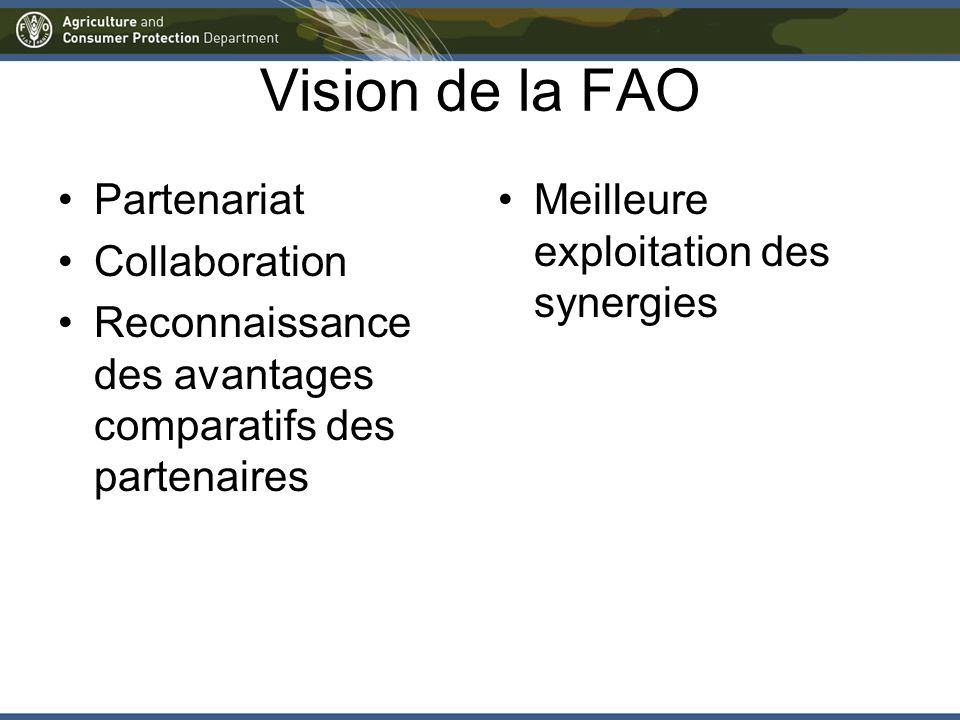 Vision de la FAO Partenariat Collaboration Reconnaissance des avantages comparatifs des partenaires Meilleure exploitation des synergies