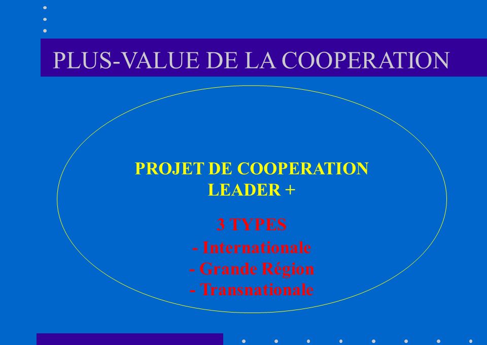 PROJET DE COOPERATION LEADER + 3 TYPES - Internationale - Grande Région - Transnationale PLUS-VALUE DE LA COOPERATION
