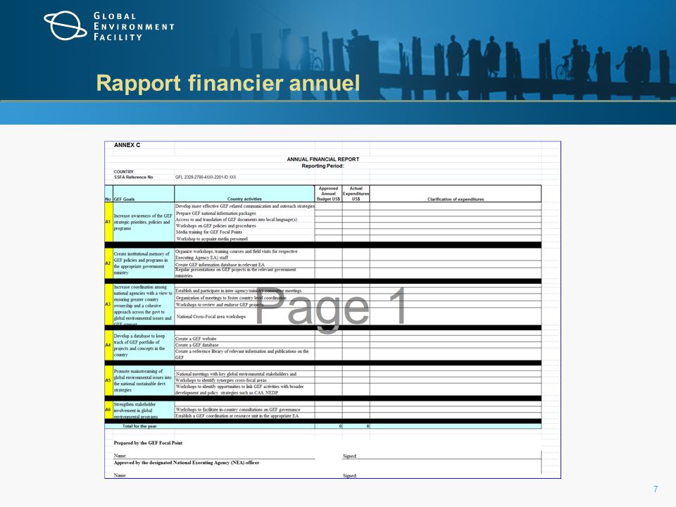 Rapport financier annuel 7