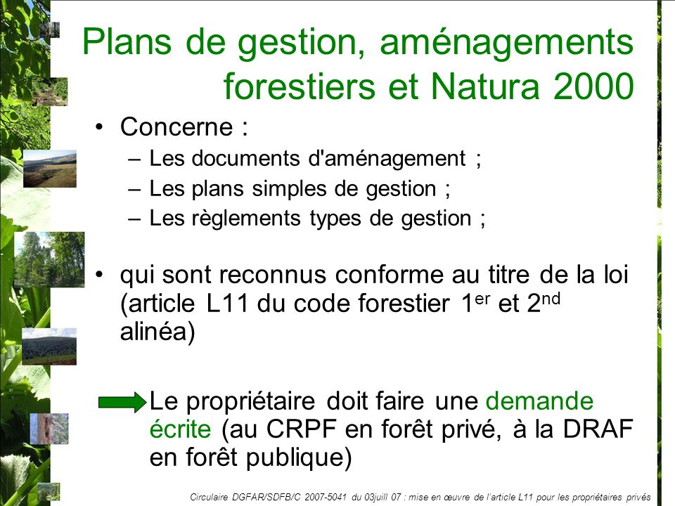 Plans de gestion, aménagements forestiers et Natura 2000 Concerne : –Les documents d aménagement ; –Les plans simples de gestion ; –Les règlements types de gestion ; qui sont reconnus conforme au titre de la loi (article L11 du code forestier 1 er et 2 nd alinéa) Le propriétaire doit faire une demande écrite (au CRPF en forêt privé, à la DRAF en forêt publique) Circulaire DGFAR/SDFB/C du 03juill 07 : mise en œuvre de larticle L11 pour les propriétaires privés