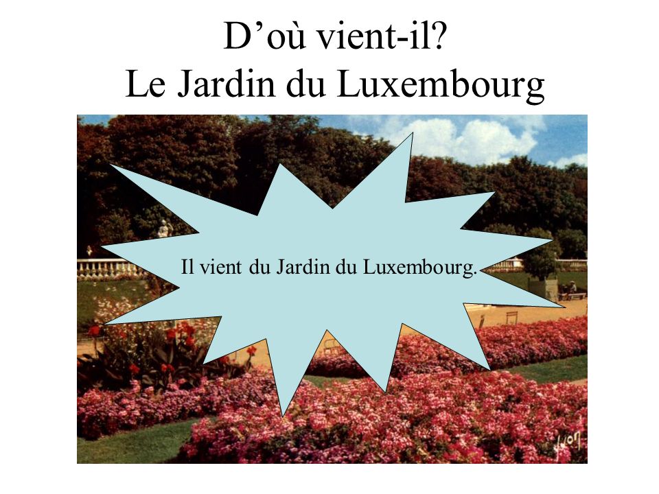 Doù vient-il Le Jardin du Luxembourg Il vient du Jardin du Luxembourg.