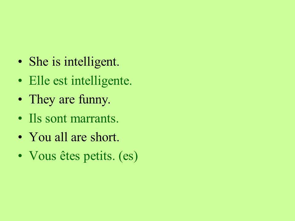 She is intelligent. Elle est intelligente. They are funny.