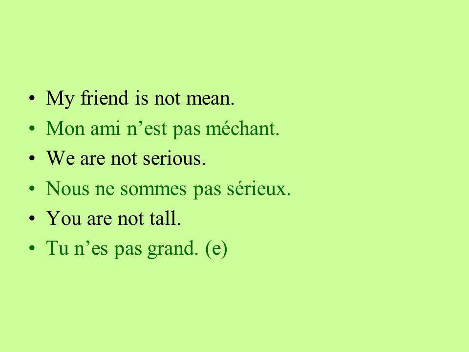 My friend is not mean. Mon ami nest pas méchant. We are not serious.