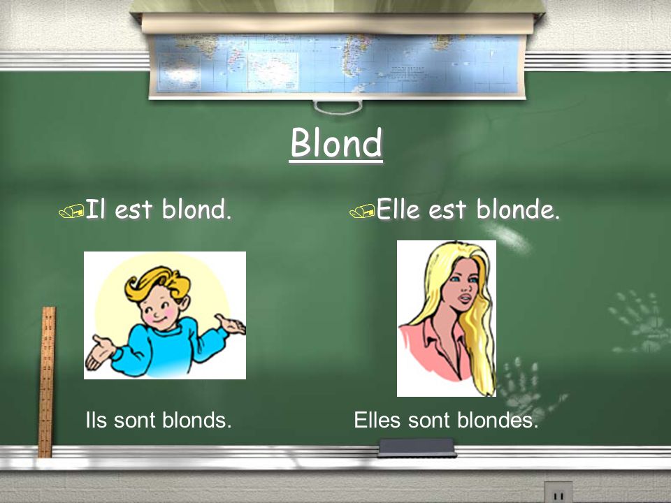 Blond / Il est blond. / Elle est blonde. Ils sont blonds.Elles sont blondes.
