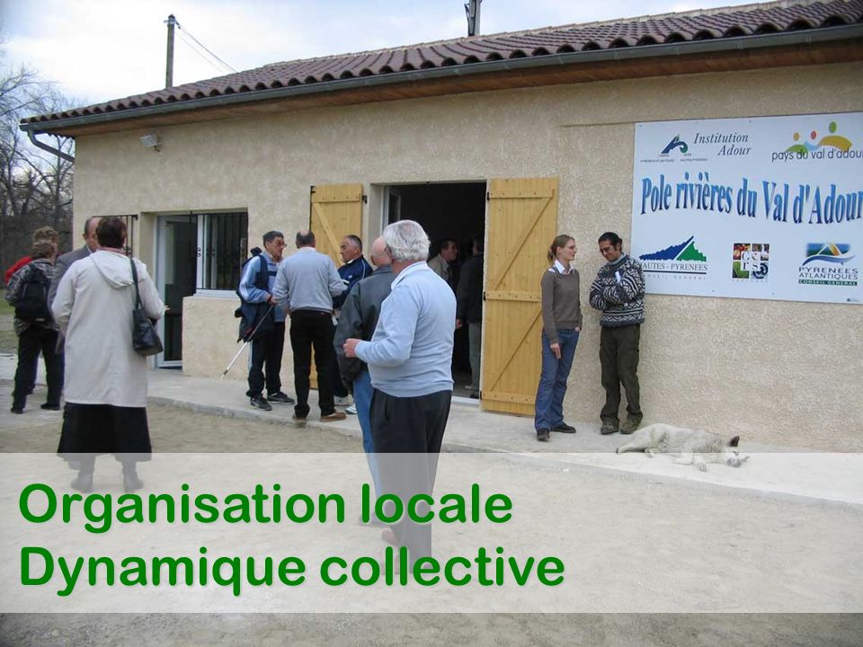 Organisation locale Dynamique collective