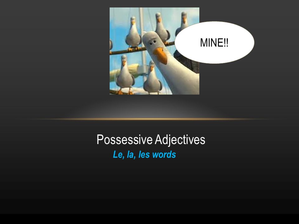 Le, la, les words Possessive Adjectives MINE!!