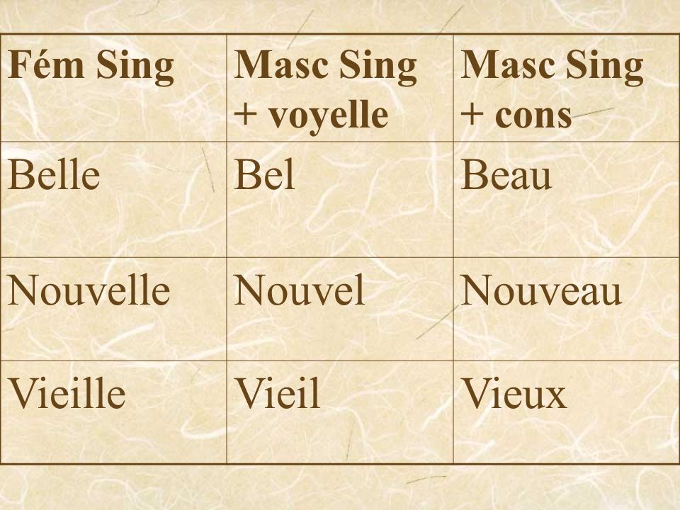 Fém SingMasc Sing + voyelle Masc Sing + cons BelleBelBeau NouvelleNouvelNouveau VieilleVieilVieux