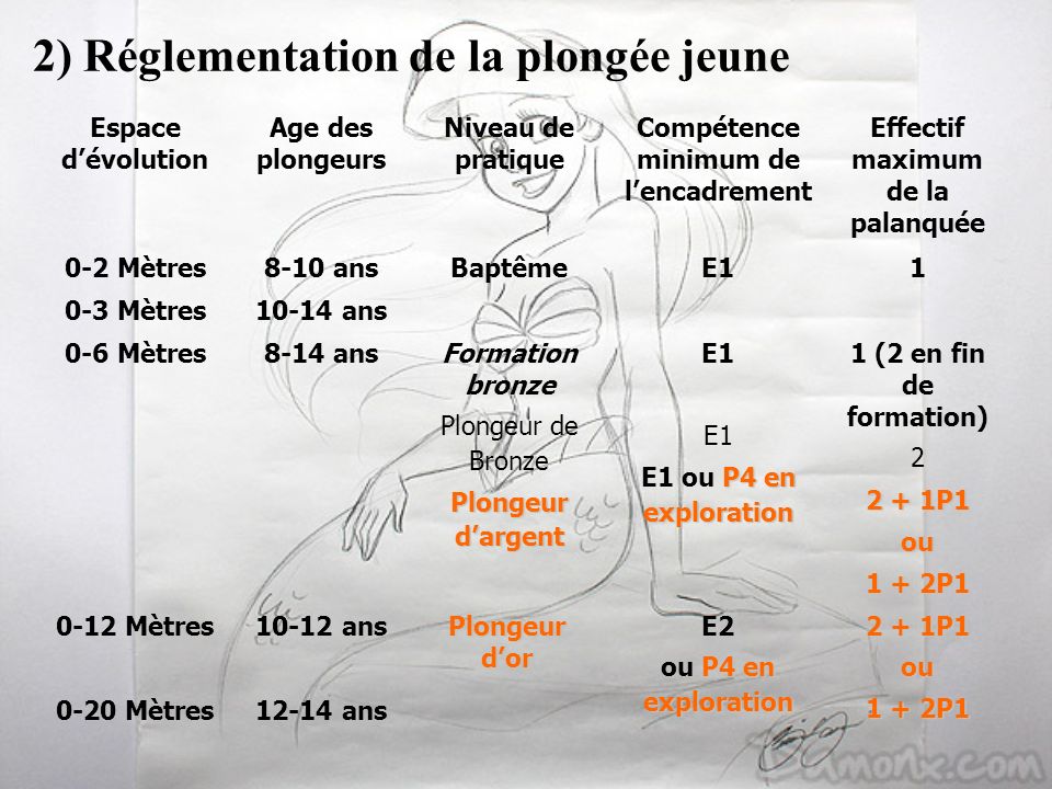 Plongée : séjours et vacances plongée sous marine avec l'UCPA