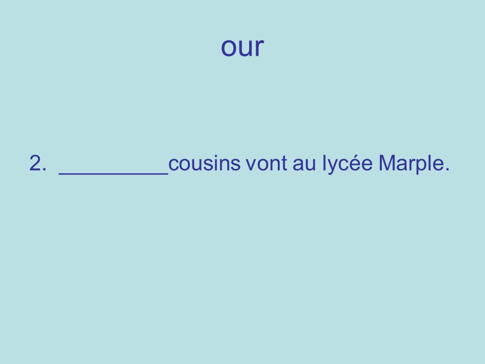 our 2. _________cousins vont au lycée Marple.