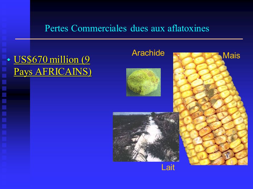 Pertes Commerciales dues aux aflatoxines US$670 million (9 Pays AFRICAINS) US$670 million (9 Pays AFRICAINS) Arachide Lait Mais