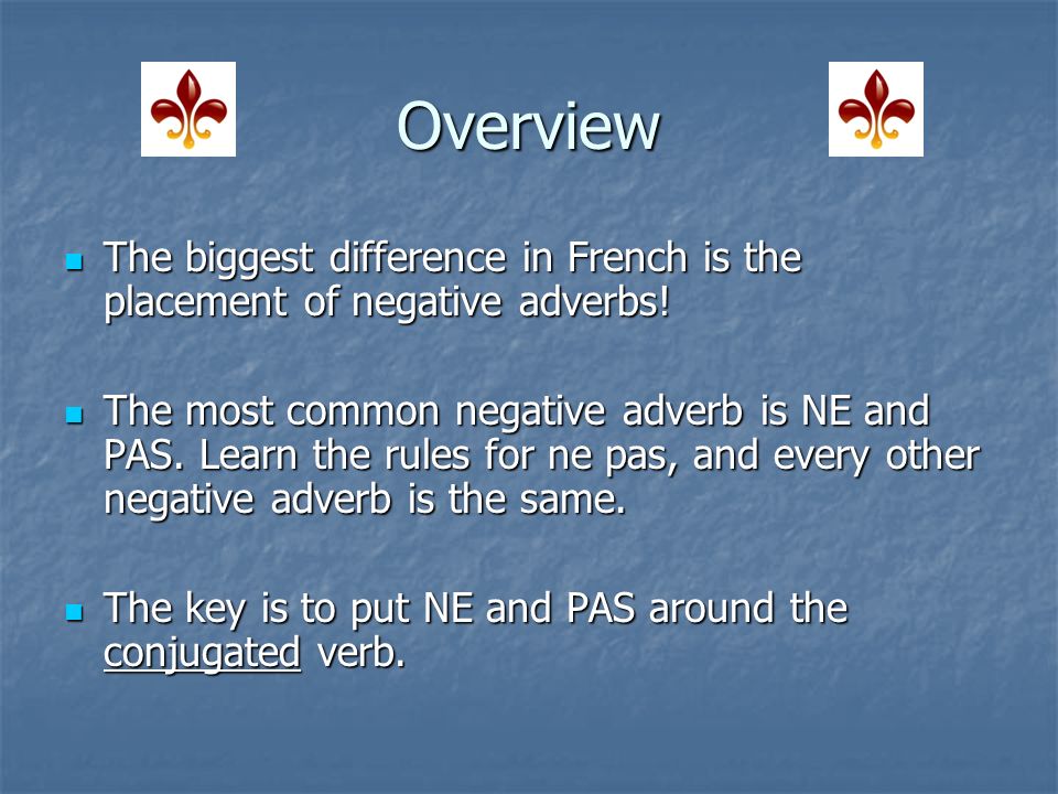 French Negative Adverbs French 2 – Term 2-1 I can