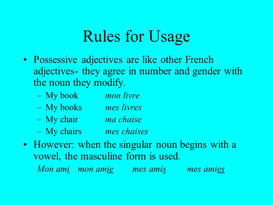 Rules for Usage Possessive adjectives are like other French adjectives- they agree in number and gender with the noun they modify.