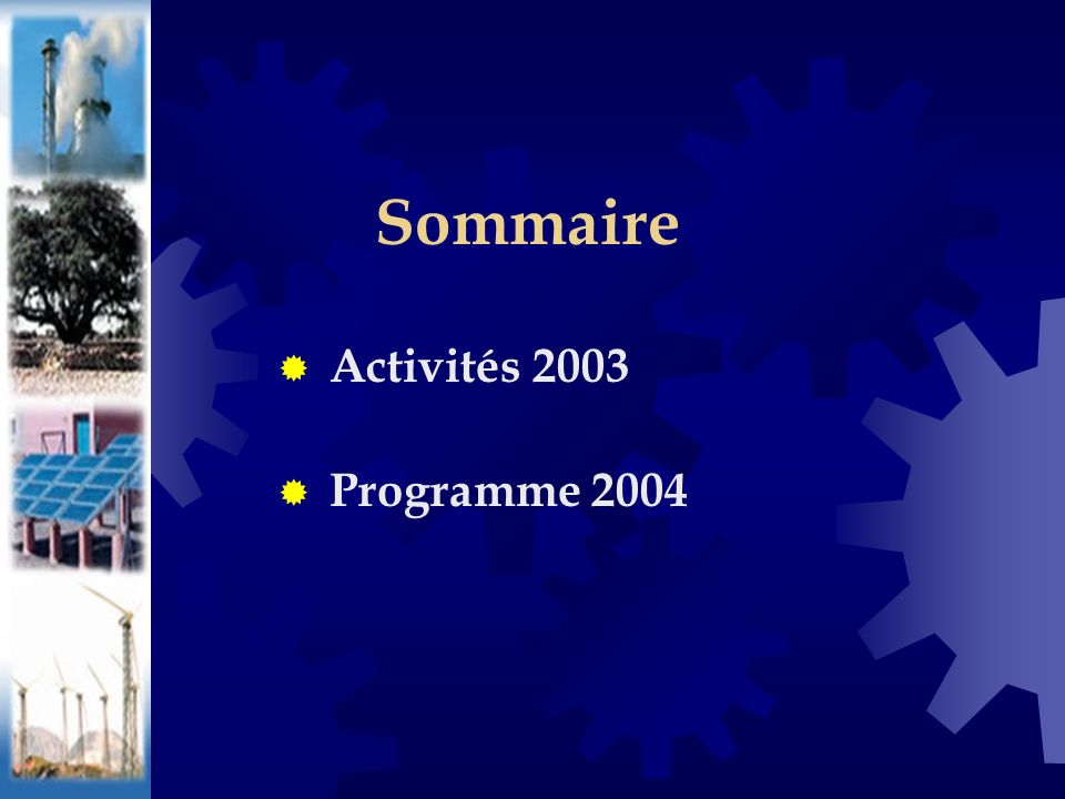 Sommaire Activités 2003 Programme 2004