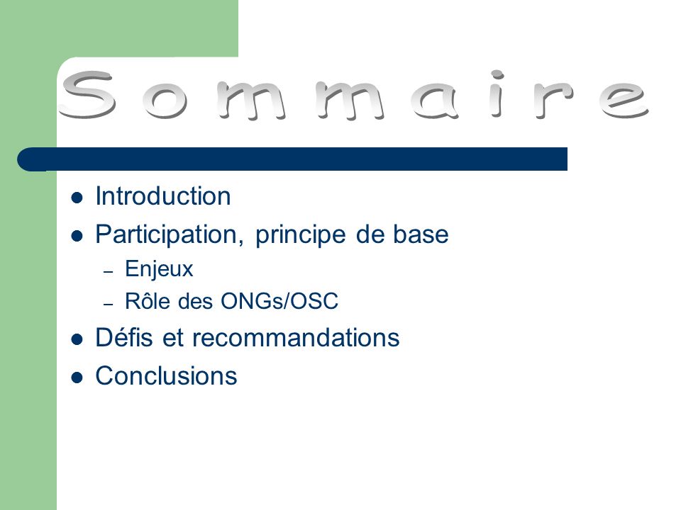 Introduction Participation, principe de base – Enjeux – Rôle des ONGs/OSC Défis et recommandations Conclusions