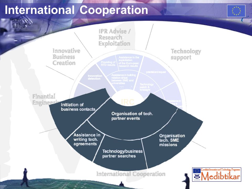 M International Cooperation