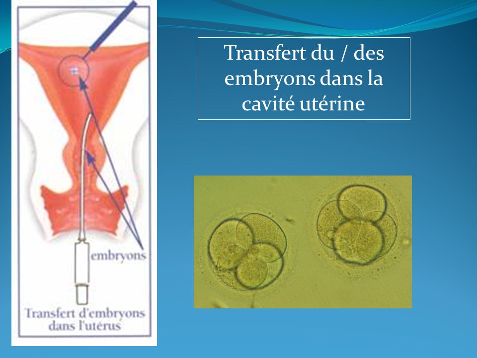 site de rencontre au travail