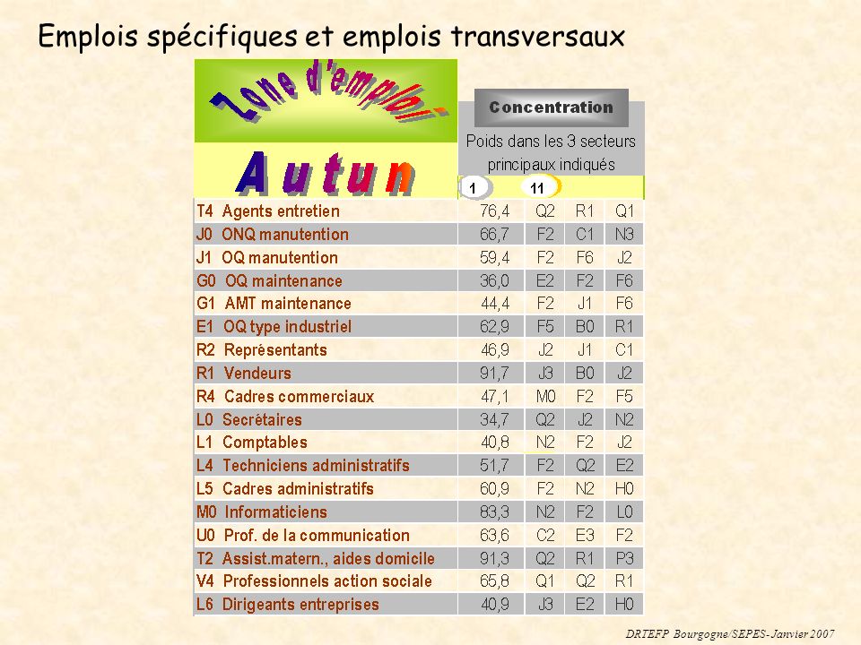 DRTEFP Bourgogne/SEPES- Janvier 2007 Emplois spécifiques et emplois transversaux