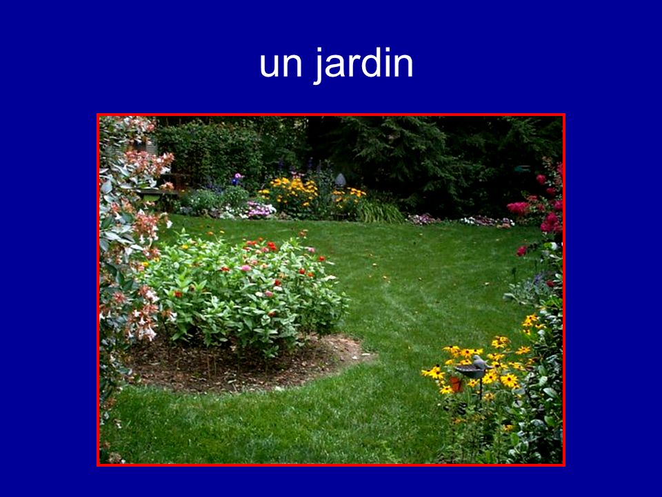 un jardin