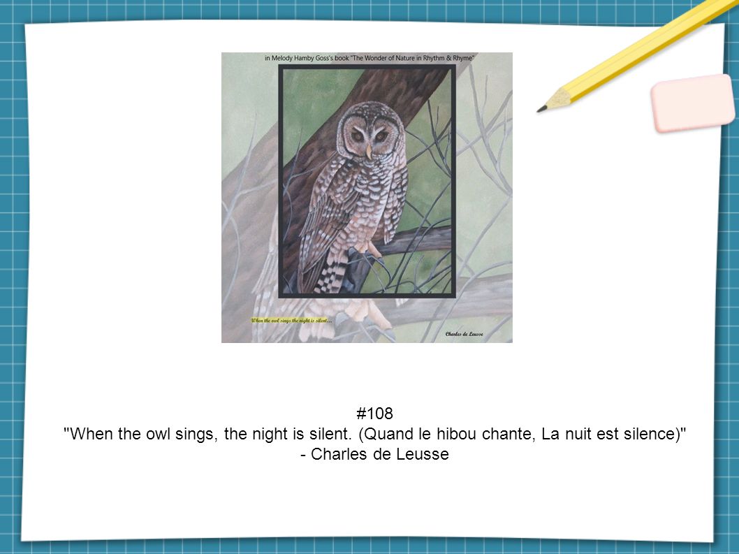 #108 When the owl sings, the night is silent.