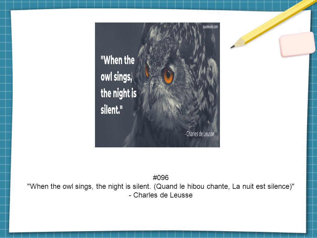 #096 When the owl sings, the night is silent.