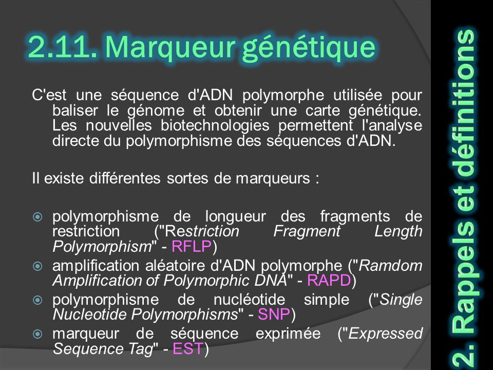 G Nomique Structurale Fonctionnelle Et Prot Omique A Chaabena Ppt