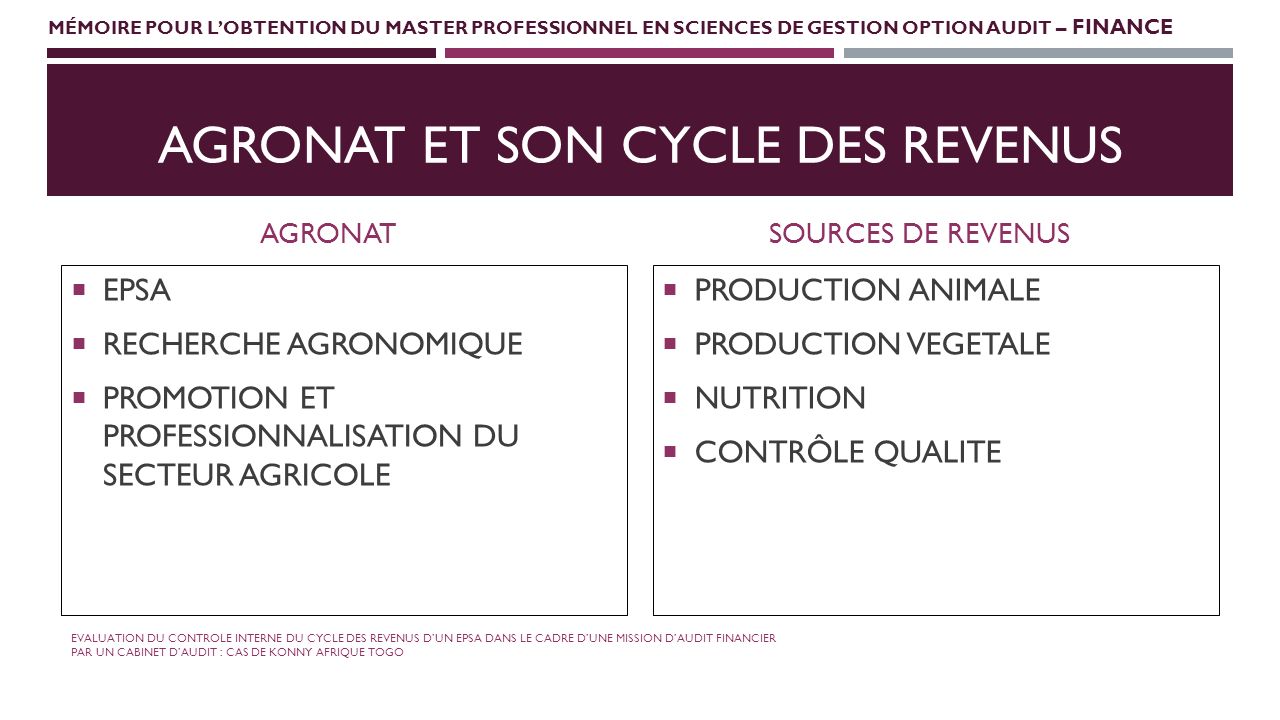 MÉMOIRE POUR LOBTENTION DU MASTER PROFESSIONNEL EN SCIENCES DE GESTION