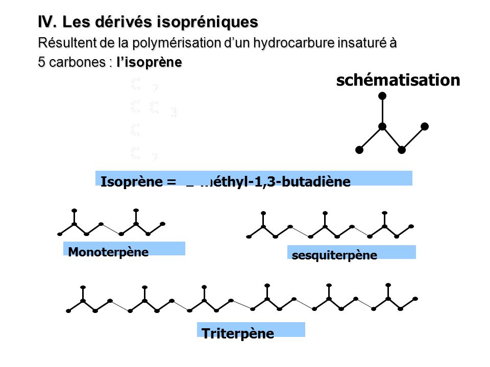 methylene site de rencontre