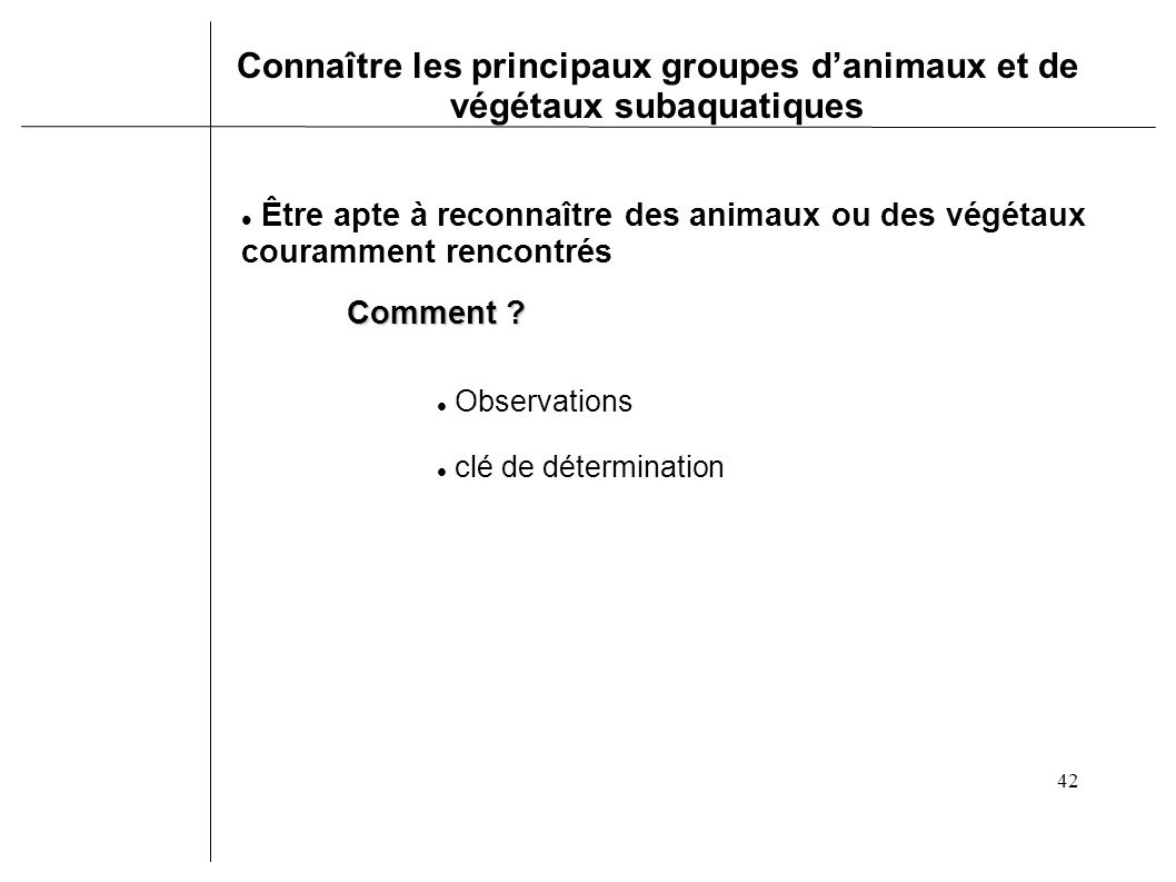 site de rencontre pour gens aimant les animaux