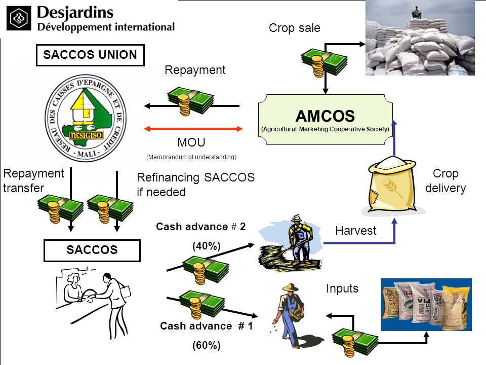 AMCOS (Agricultural Marketing Cooperative Society) SACCOS SACCOS UNION MOU (Memorandum of understanding) Repayment Crop sale Harvest Cash advance # 1 (60%) Cash advance # 2 (40%) Refinancing SACCOS if needed Inputs Crop delivery Repayment transfer