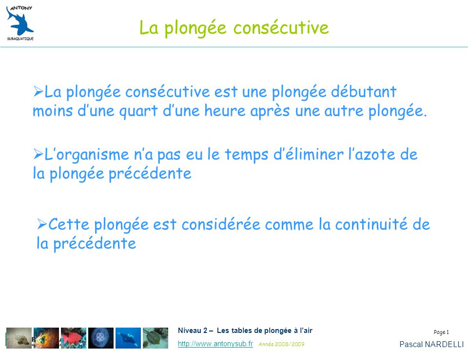 le blog plongée de daniel plonger dans le Pas de Calais en mer,en riviere,en