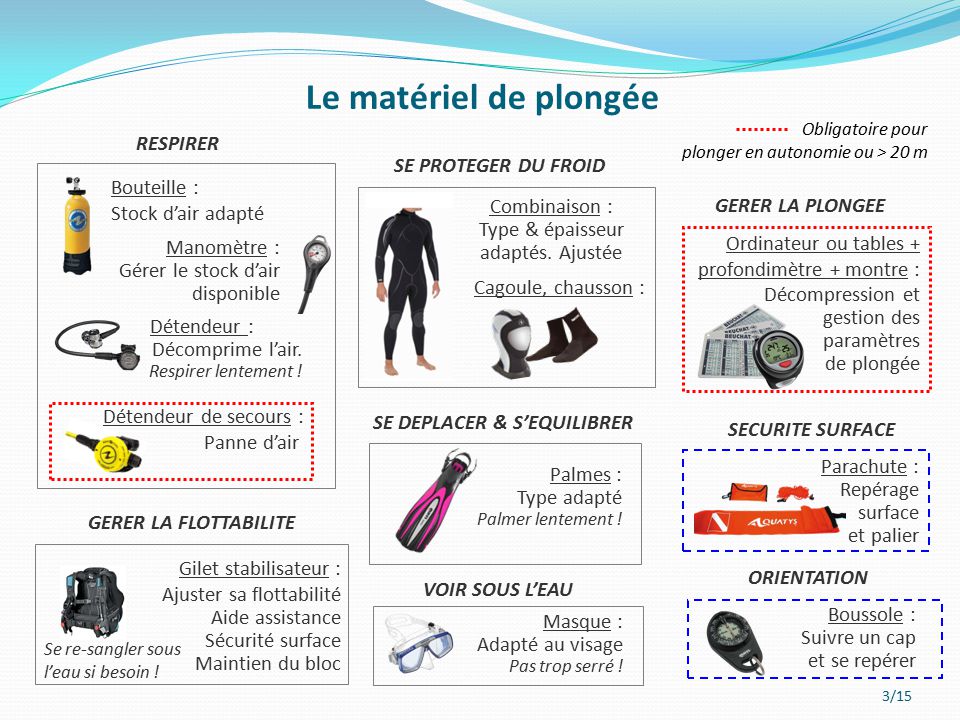 Réglementation Comportement Plongeur Niveau 2 FFESSM