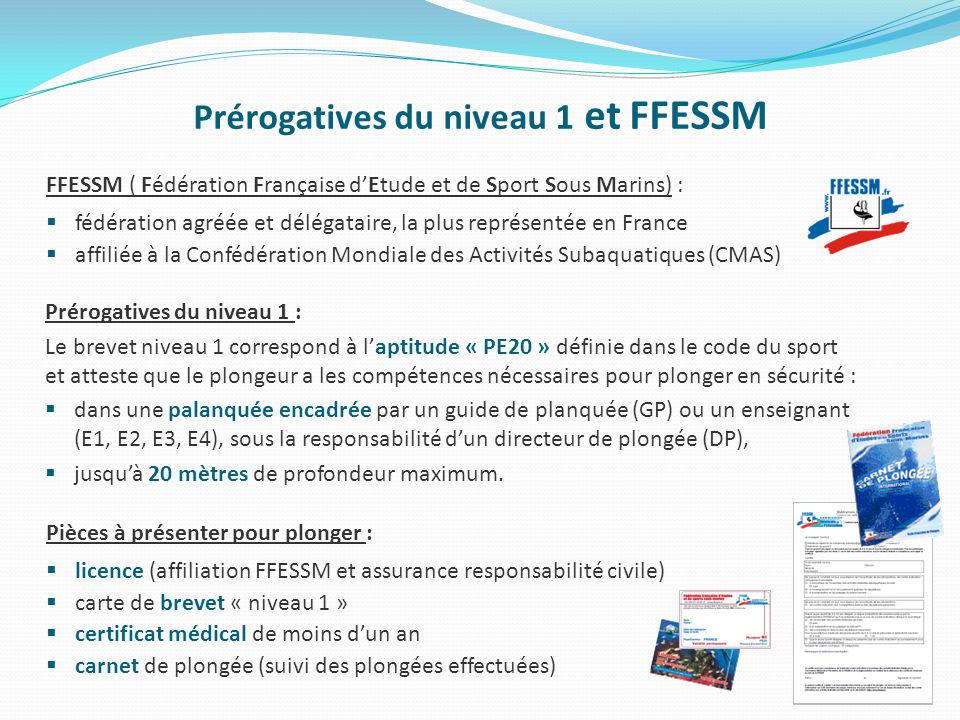 ⚡Présentation "1 Cours Théorique du 05/12/2006 Physiologie & Dissolution