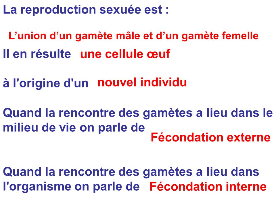 lieu de rencontre des gametes