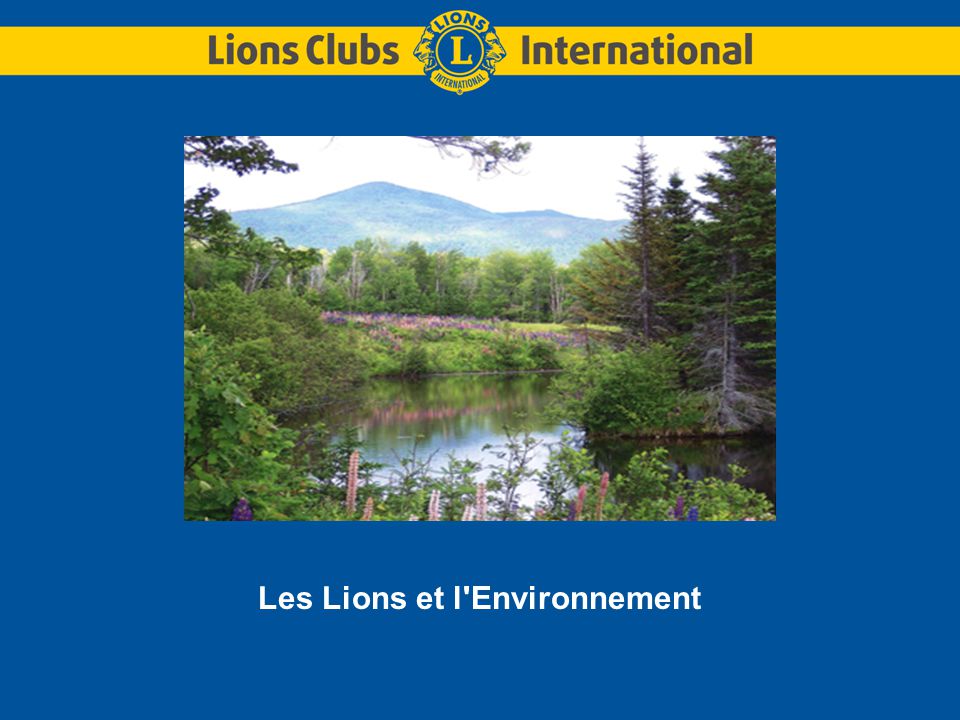 Les Lions et l Environnement